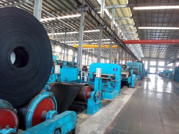 NN Conveyor Belt